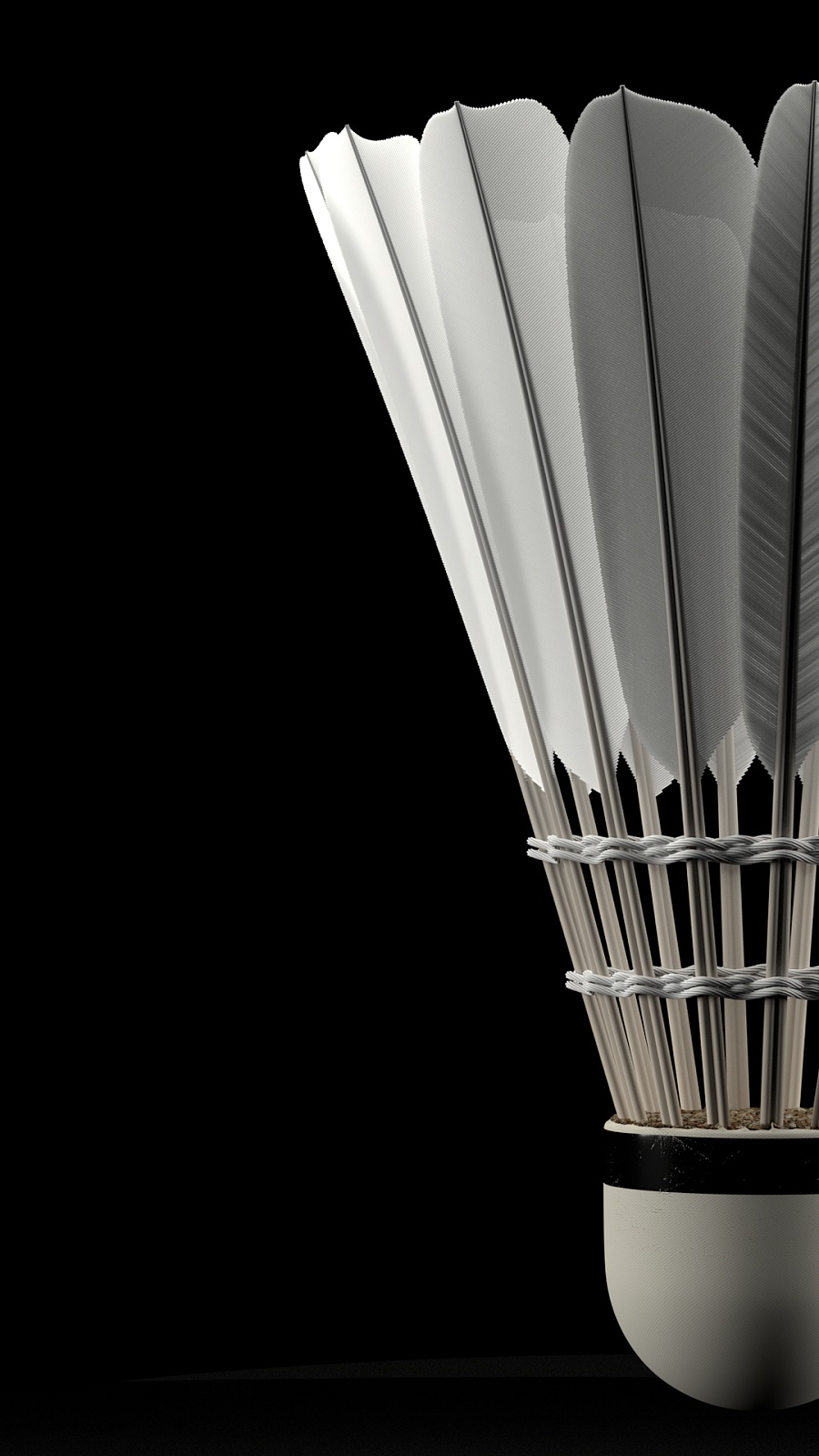 申京的作用 申京的作用