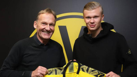 的三角草与 的三角草与